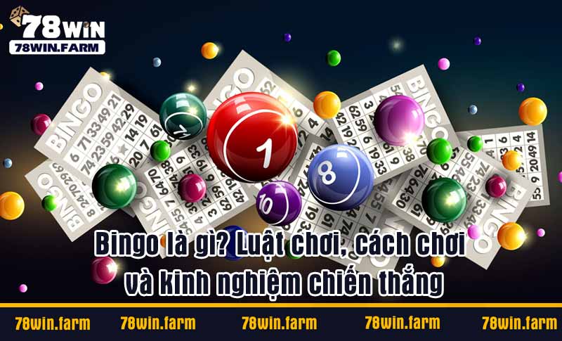 Bingo là gì? Luật chơi, cách chơi và kinh nghiệm chiến thắng