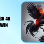 Đá Gà 4k 78win Công Nghệ Phát Sóng Đỉnh Cao Nhất