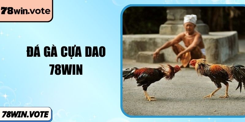 Đá Gà Cựa Dao 78win Sảnh Cược Đỉnh Cao Và Kịch Tính