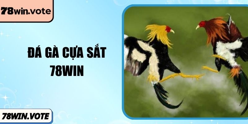 Đá Gà Cựa Sắt 78win Những Khoảnh Khắc Đối Đầu Nghẹt Thở