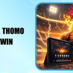 Đá Gà Thomo 78win Quy Tắc Chơi Và Các Cửa Cược Chi Tiết