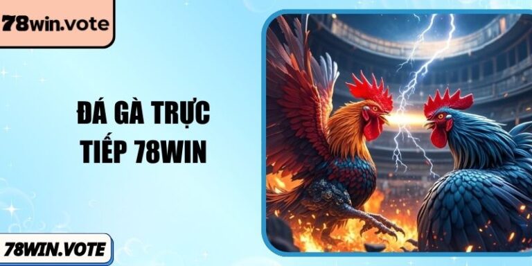 Đá Gà Trực Tiếp 78win Đỉnh Cao Cá Cược Kịch Tính 6 Đá Gà Trực Tiếp 78win Đỉnh Cao Cá Cược Kịch Tính