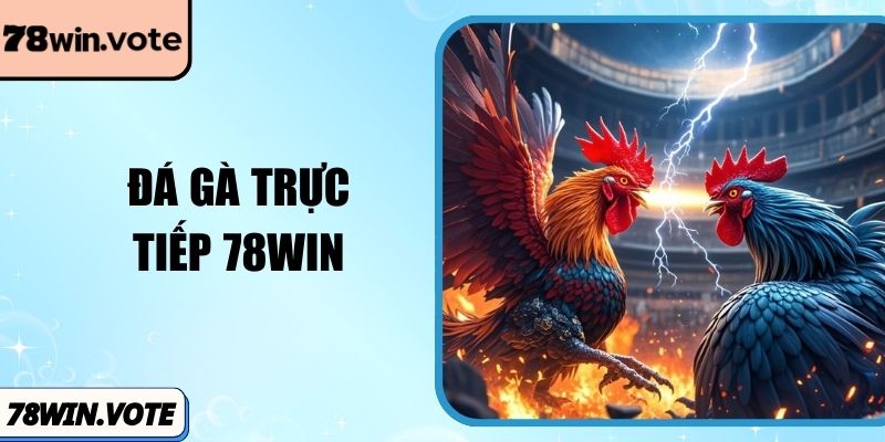 Đá Gà Trực Tiếp 78win Đỉnh Cao Cá Cược Kịch Tính
